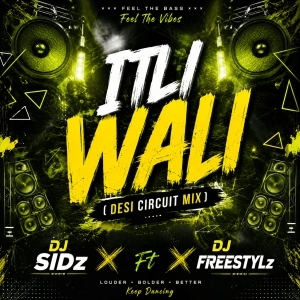 ITLI WALI (DESI CIRCUIT MIX) DJ SIDz Ft DJ FREESTYLz