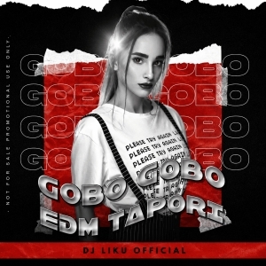 Gobo Gobo (Old Sambalpuri Edm X Piano X Tapori) Dj Liku